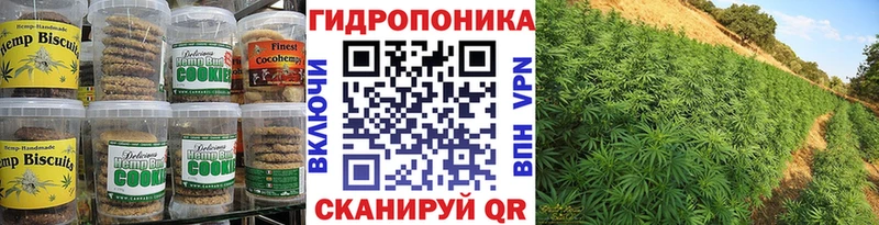 Canna-Cookies конопля даркнет Telegram Саров