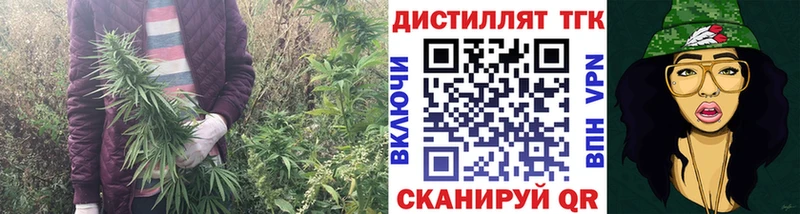 наркота kraken маркетплейс Дистиллят ТГК THC oil Саров