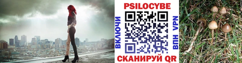 Галлюциногенные грибы Psilocybe  Саров 