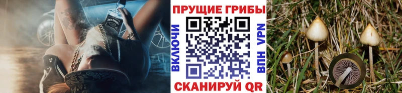 Галлюциногенные грибы GOLDEN TEACHER Саров